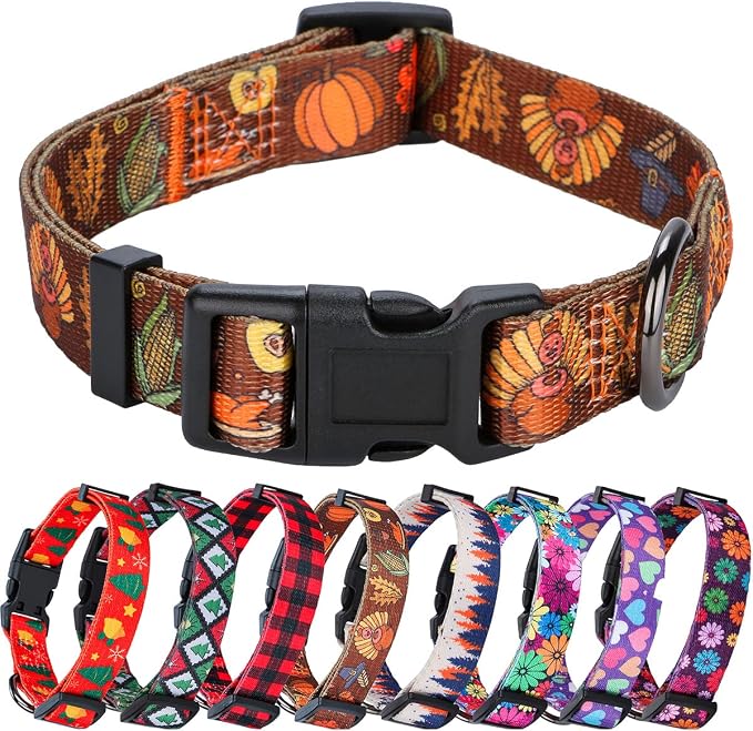 Fall Halloween Thanksgiving Dog Collars Medium Size