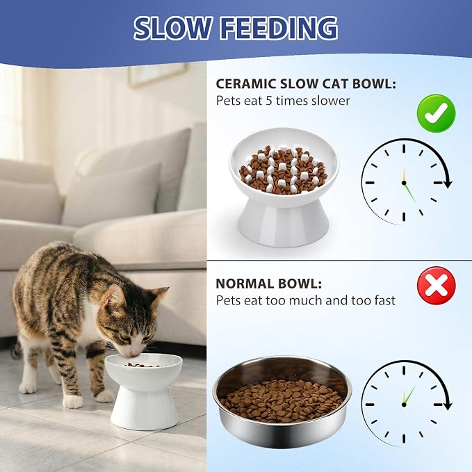 Ceramic Slow Feeder Cat Bowl, 2 Cups Tilted Elevated Cat Slow Feeder Bowl for Dry and Wet Food, Honeycomb Design for Preventing Vomiting & Bloating (White-Honeycomb)