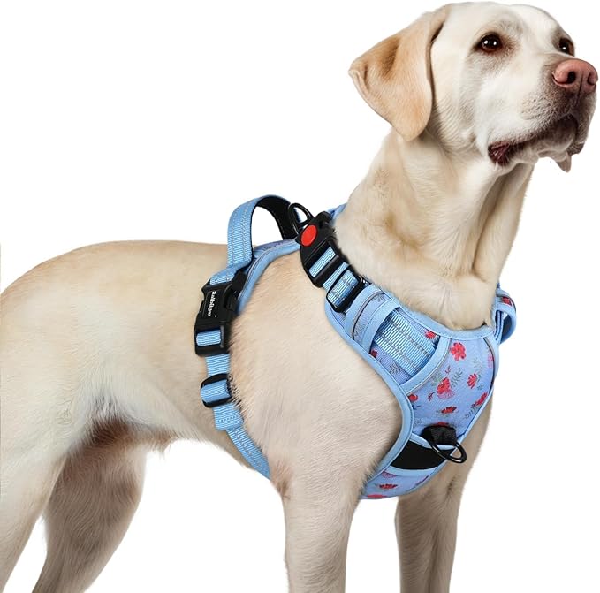 rabbitgoo Dog Harness for Large, No Pull Easy On & Off with 3 Buckles Pet Harness, Adjustable Soft Walking Vest with 2 Clips and Handle, Reflective for Large Dogs, Floral Blue, L