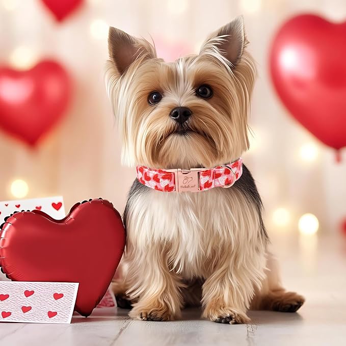 Valentines Dog Collar, Cute Pink Valentine Dog Collars, Doodle Heart Pattern, Adjustable Heavy Duty Pet Collar for Small Medium Large Dogs with Metal Buckle XS