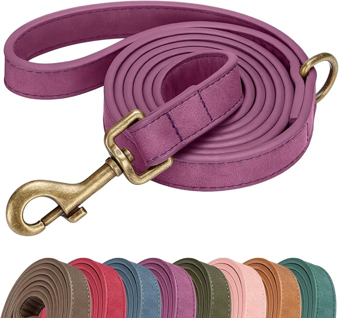Didog Stylish PU Leather Dog Leash for Small Dogs, Easy to Clean 5ft Small Dog Leash with Metal Tangle-Free Clip, Fashionable and Elegant for Walking, Running and Training,Purple, S