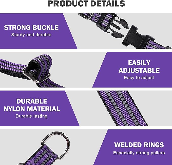 Hikiko Martingale Collar for Dogs Reflective Nylon Dog Collar with Quick Release Buckle Adjustable Training No Slip Dog Collars (Medium, Purple)
