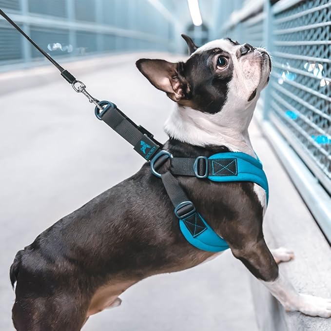 Gooby Escape Free Sport Harness - Black, Small - No Choke Step-in Patented Neoprene Dog Harness with Four-Point Adjustment for Small to Medium Dogs