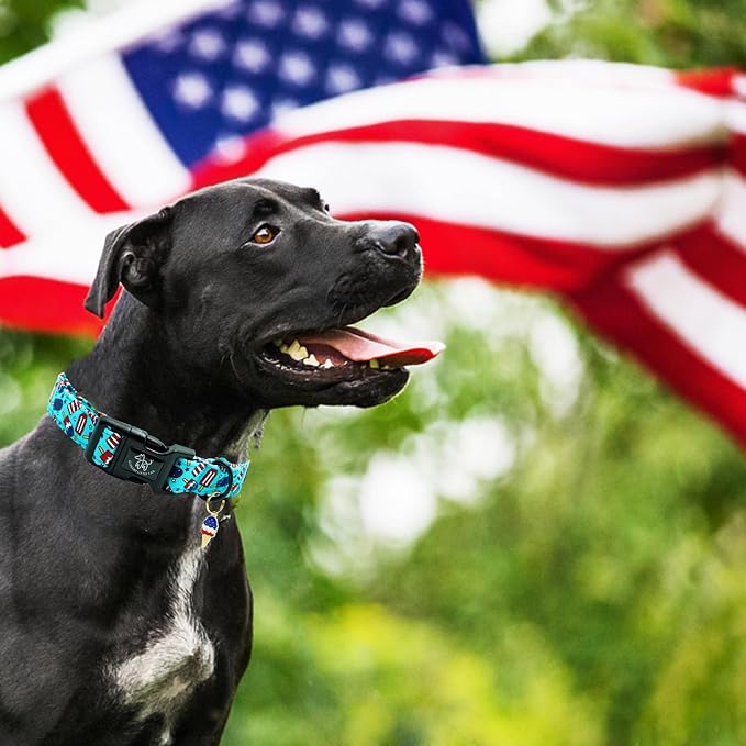 Elegant little tail Independence Dog Collar, 4th of July Holiday Pet Collars Cotton Patriotic Puppy Girl or Boy Soft Pet Gift Adjustable Dog Collar for Small Medium Large Dogs