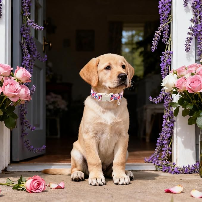 DOGWONG Purple Flower Dog Collar- Cute Daisy Flower Dog Collars Adjustable Girl Female Puppy Dog Collar for Small Dogs, S