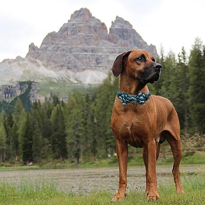 Elegant little tail Dog Collar, Dinosaurs Print Pet Collars with Bow Soft Cutton Boy Puppy Gift Adjustable Blue Bowtie Dog Collar for X-Small Dogs