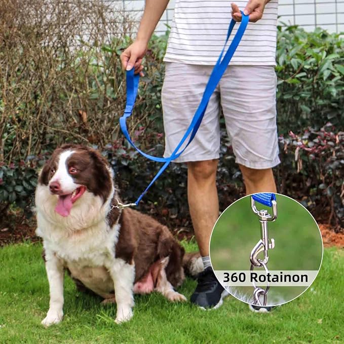 AMAGOOD 6 FT Puppy/ Dog Leashes, Traditional Style Leash with Easy to Use Collar Hook, Great for Small, Medium and Large Dogs (3/4 in x 6 ft, Pack of 1), Blue