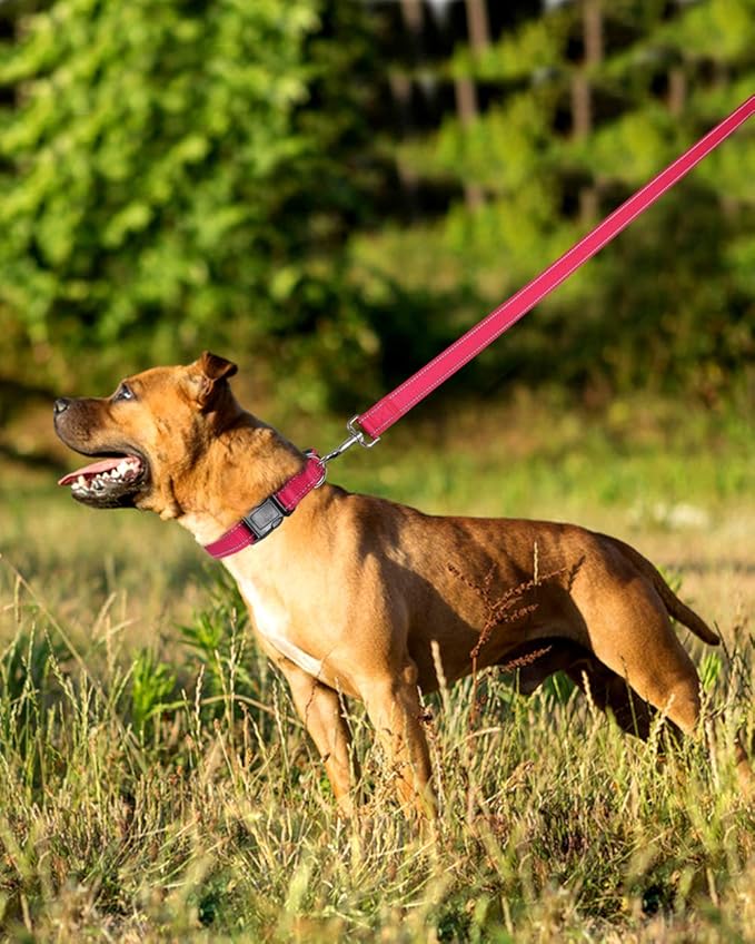 FunTags 6FT Hot Pink Reflective Dog Leash for Large & Medium Dogs Walking, Soft Padded Handle Comfortable Grip, Heavy Duty Nylon, Reflective for Night Walking, 1in Wide