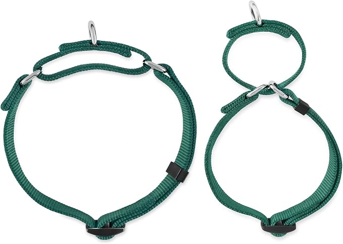Hyhug Martingale Collar for Dogs Large Green |Escape - Proof Heavy Duty Nylon Durable No Pull, Ideal for Training & Daily Walks