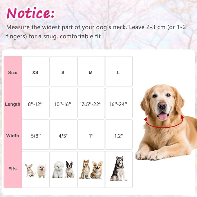 Valentines Dog Collar with Pink White Heart Pattern, Adjustable Small Dog Collar with Safety Buckle & Heart Charm, Spring Summer for Girl Boy Dogs-S