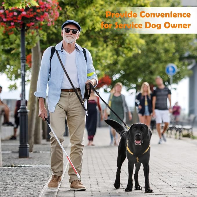 Leather Dog Leash 8ft, Soft Multi-Function 6 in 1 Leather Training Walking Lead, Hands Free Leash, Dual, Crossbody Pet Leashes for Medium and Large Dogs, Service Dogs (8 Foot*5/8", Black)