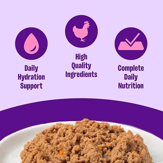 Wellness Complete Health Pate Kitten Canned Wet Cat Food, Natural, Protein Rich, Grain Free, Chicken Entrée Recipe, 3 oz, Pack of 12 Cans