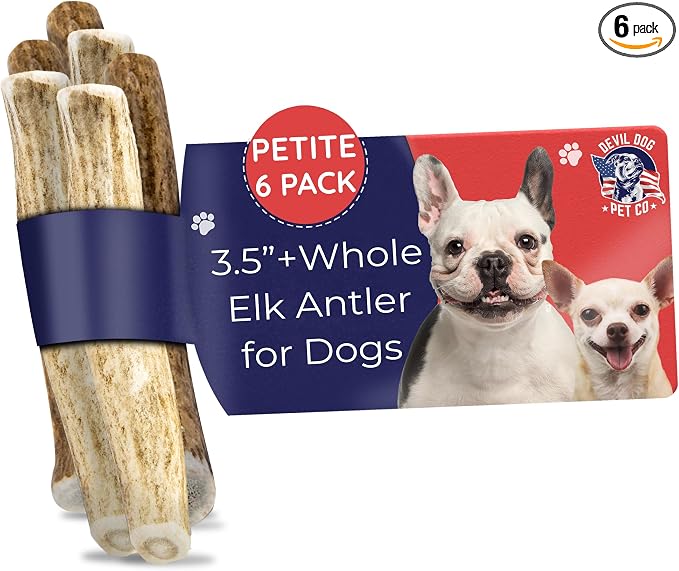 Devil Dog Pet Co. Elk Antlers for Dogs, Natural Dog Chew for Aggressive Chewers - Long Lasting and Odor Free - USA Sourced - Cleaner Teeth, Anxiety & Boredom Relief - Whole Petite 3.5"+ 6 Pack