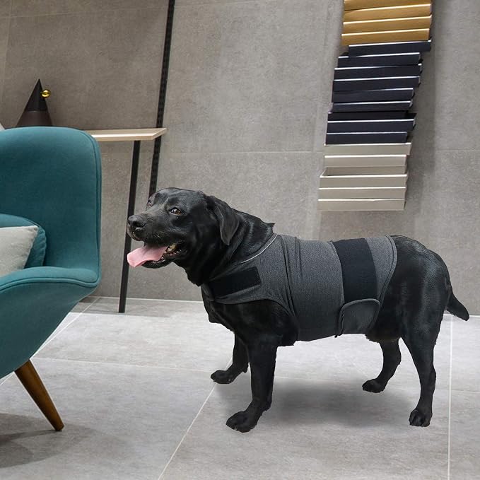 Comfort Dog Anxiety Relief Coat, Dog Anxiety Calming Vest Wrap for Thunderstorm,Travel,4th of July Fireworks,Vet Visits,Separation Anxiety Relief for Dogs (XL,Grey)