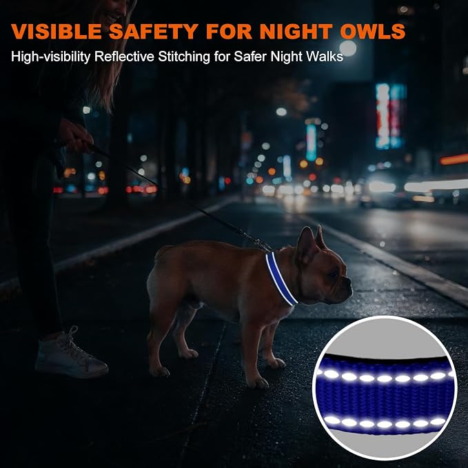 Taglory Reflective Dog Collar for Small Dogs, Soft Neoprene Padded with Escape-Proof Locking Buckle, Upgraded Zinc Alloy Ring, Adjustable Nylon Collar for Walking, Blue,S