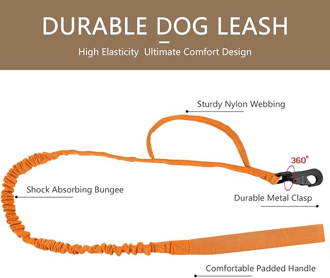 DAGANXI Tactical Dog Collar, Adjustable Military Training Nylon Dog Collar with Control Handle and Heavy Metal Buckle for Medium and Large Dogs, with Patches and Airtags Case (Orange-Set, M)