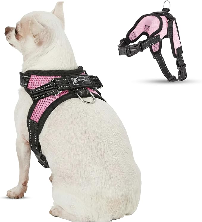 No Pull Reflective Adjustable Dog Harness With Handle- Comfortable Soft All Weather Mesh, Easy On Puppy Harness For Small Medium and Large Dogs (Pink) X-Small