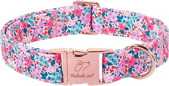 Floral Dog Collar, Cute Spring Summer Girl Dog Collars - Soft Adjustable Everyday Collars for Small Medium Large Dogs, Rustic Wildflowers Female Dogs Collar XS