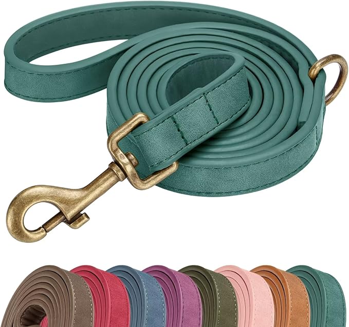 Didog Stylish PU Leather Dog Leash for Small Dogs, Easy to Clean 5ft Small Dog Leash with Metal Tangle-Free Clip, Fashionable and Elegant for Walking, Running and Training,Green, S