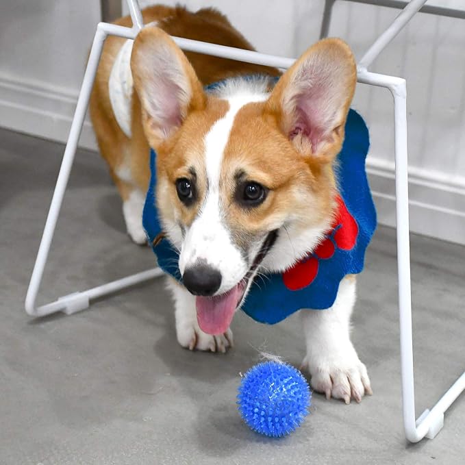 SHARLOVY Squeaky Balls for Pet Small Puppy, 6 Pack TPR Fetch Spike Balls for Dogs, Rubber 6 Pack Bright Colors Chew Teething Dog Toys, for Clean Teeth and Training, for Puppy Chew and Teething