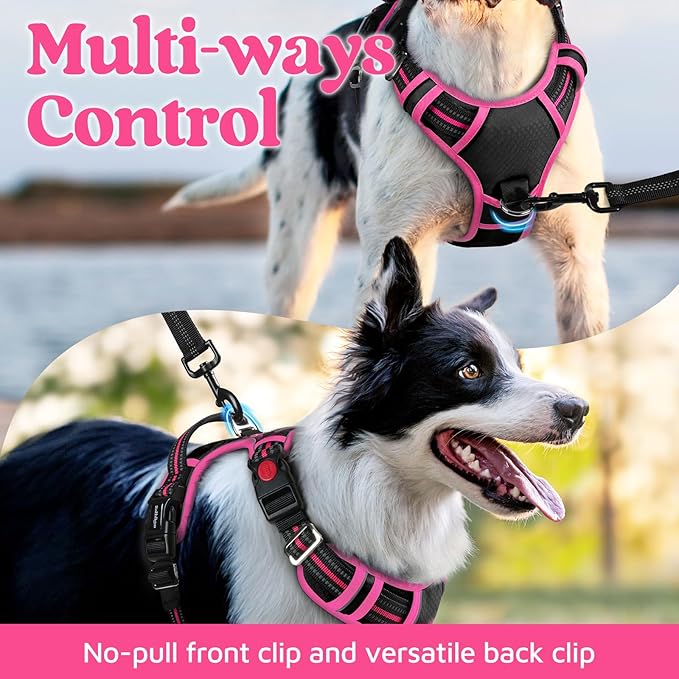 rabbitgoo Dog Harness for Large Dogs, 3 Buckles Easy On & Off No Pull Pet Vest, Soft Padded Walking Pet Harness with Control Handle, Adjustable and Reflective, Black & Rose Pink, XL