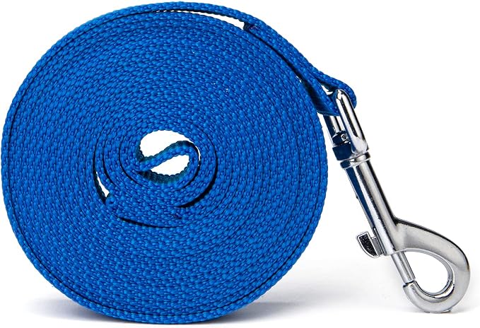 Strong Durable Nylon Dog Training Leash, 1 Inch Wide Traction Rope, 6 ft 10ft 15ft Long, for Small and Medium Dog (Blue, 6 Feet)