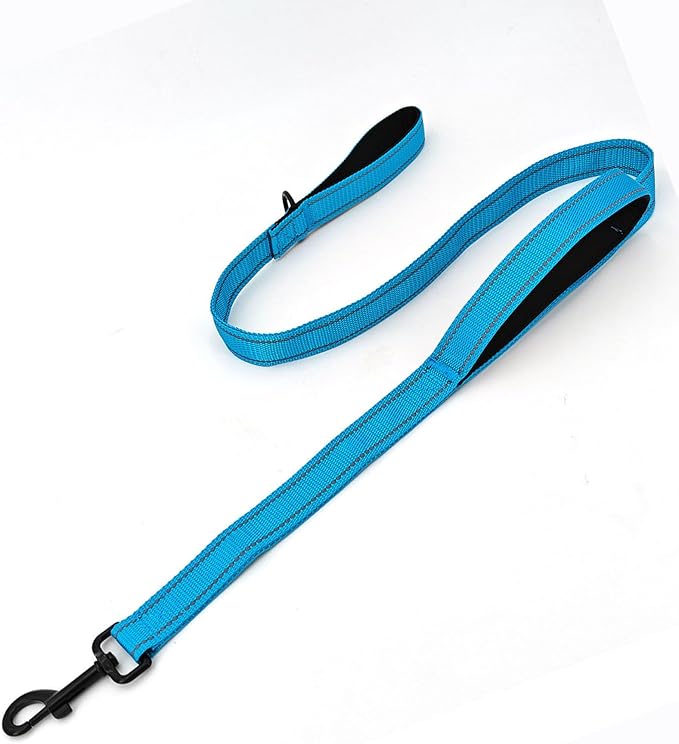 Solmoony 4FT Blue Strong Dog Leash with 2 Padded Handles, Traffic Handle Extra Control, Double-Sided Reflective Walking Lead for Small Medium and Large Dogs(Blue, 4FT)