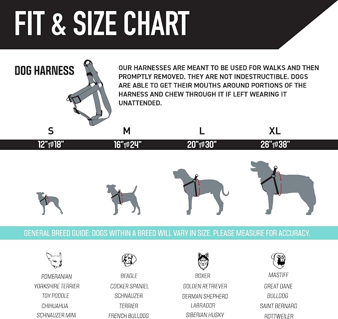 Wolfgang Heavy Duty Adjustable Dog Harness, Pull-Tested to Over 800 lbs for Walking & Training, DigiFloral Print, Large
