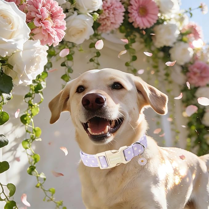 Spring Summer Dog Collar for Girl Dogs- Purple Polka Wedding Dog Collar, Adjustable Soft Beach Dots Dogs Collars for Large Dogs, L