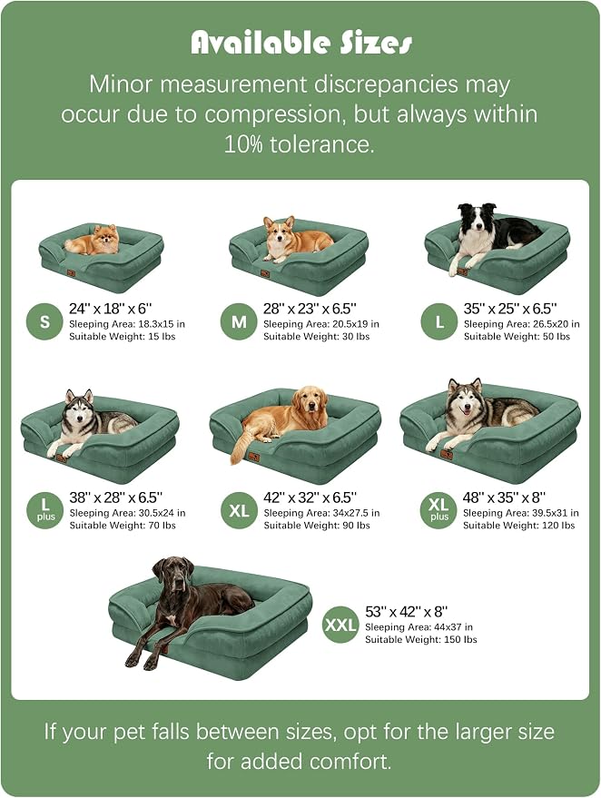 Spotted Play Orthopedic Dog Bed with Sides - Sofa Beds for Large Dogs, Supportive Foam Pet Couch Bed with Washable Removable Cover, Waterproof Lining and Non-Slip Bottom, Green - L