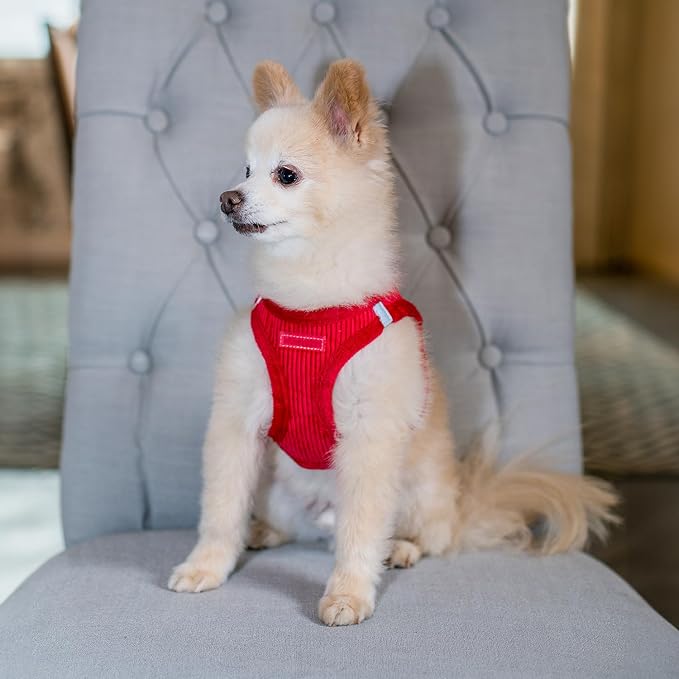 Best Pet Supplies - All Weather Plush, Reflective, No Pull Harness for Small, Medium Dogs, Cats - Secure with Hook & Loop Fastener, Buckle, Double D-Rings - Red Corduroy, XS