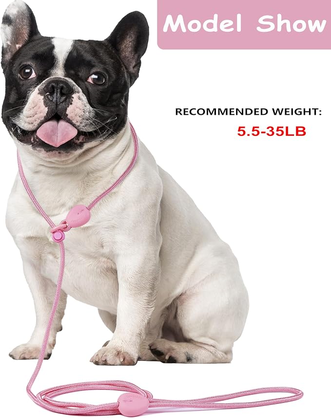 Slip Leash for Dogs 6FT Slip Lead Strong Dog Training Leash Heavy Duty Slip Leash No Pull Dog Slip Lead Comfortable Rope Dog Leash Lightweight Puppy Leash Dog Leash for Small Medium Dogs (Pink, 6FT)