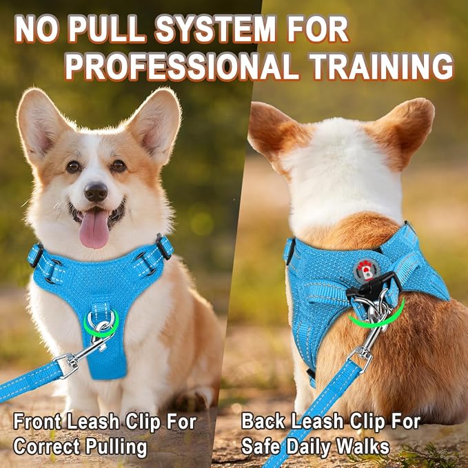 Dog Harness Step in Dog Vest Harness, Reflective Adjustable Puppy No Pull Harness Breathable Soft for Small and Medium Dogs Cats, Blue, S