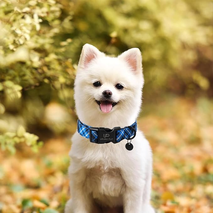 Dog Collar, Autumn Cotton Collar for Puppy Girl Dog or Cat, Holiday Blue Plaid Collar with Lightweight Plastic Buckle, Adorable Pet Collar