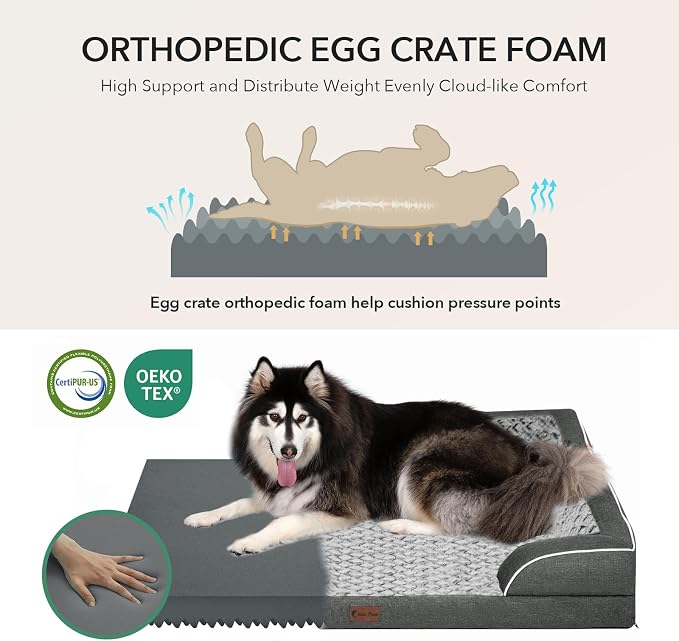 Orthopedic Dog Beds for Extra Large Sized Dogs 48x30 Inch, XL Waterproof Egg Crate Foam Dog Sofa Bed with Removable Washable Cover Big Pet Couch with Bolster & Non-Slip Bottom, Dark Grey