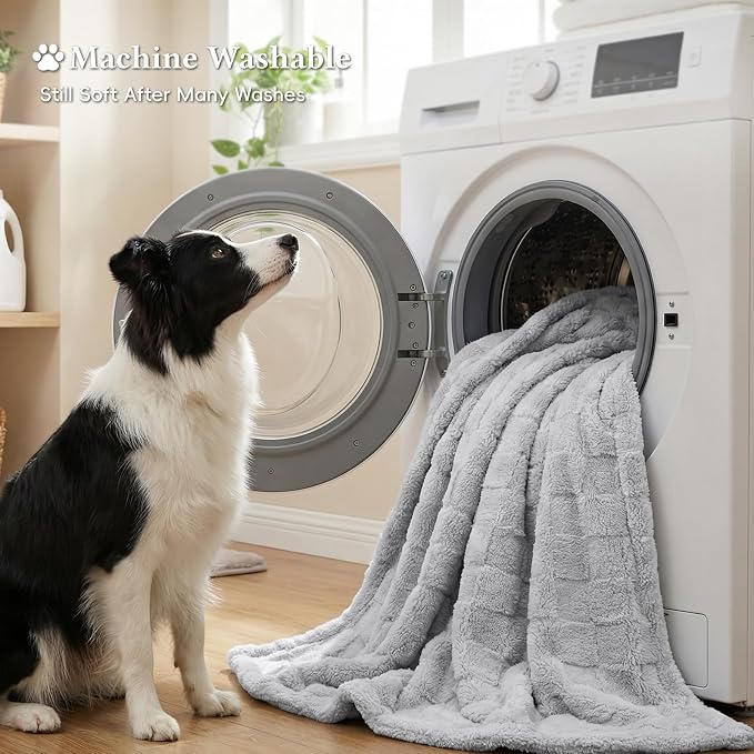 David's Home Large Dog Blankets Washable Pet Bed Cover Twin Size, Soft Fluffy Fuzzy Cat Puppy Blanket with Premium 300GSM Fleece for Pet Kitten Doggy, Light Grey, 66 * 90"