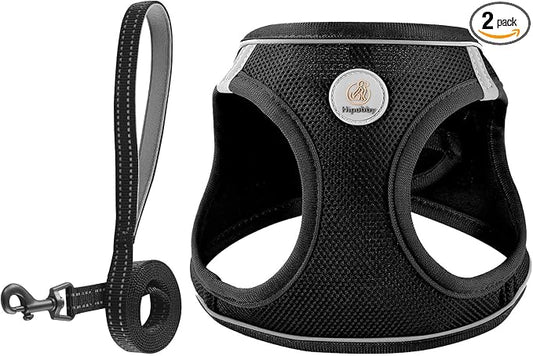 Hipubby Dog Harness and Leash Set, No Pull Soft Mesh Puppy Harness for Small Medium Dogs, Cats - Step in Adjustable Reflective Pet Harness with Buckle and Double D-Rings - Black, XS