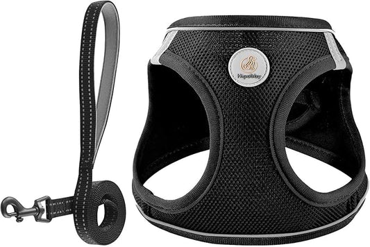 Hipubby Dog Harness and Leash Set, No Pull Soft Mesh Puppy Harness for Small Medium Dogs, Cats - Step in Reflective Breathable Lightweight Vest Harness for Walking, Training - Black, XXS