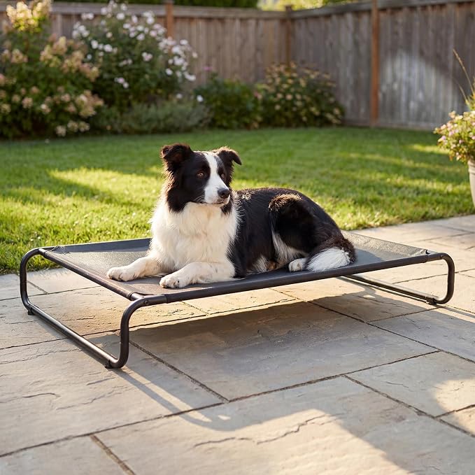 Veehoo Cooling Elevated Dog Bed, Outdoor Dog Bed for Large Dogs, Raised Dog Cot with Thickened Frame, Durable Teslin Mesh & Anti-Slip Rubber Feet, Pet Hammock for Indoor or Camping, 41" x 26", Black