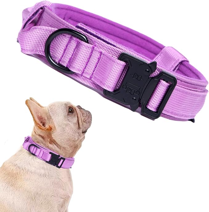 Tactical Dog Collar Adjustable Military Nylon Dog Collar with Control Handle and Heavy Duty Metal Buckle for Medium and Large Dogs (Purple,S)