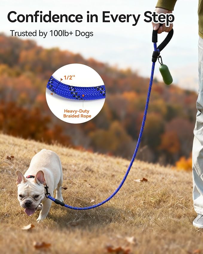 Joytale Dog Leash for Small Dogs, Heavy Duty Nylon Leashes with Comfortable Padded Handle and Highly Reflective Threads, Ideal for Walking and Training, Navyblue, 5'×3/8''