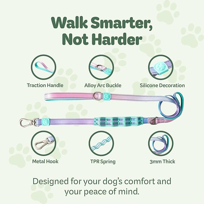 Desired Things Bungee Dog Leash Reflective Training Leash with Shock Absorbent Spring, Emergency Pull Handle, Collar Latch, D-Ring Buckle for Dog Treats, Poop Bags, Puppy Essentials - Pink and Blue