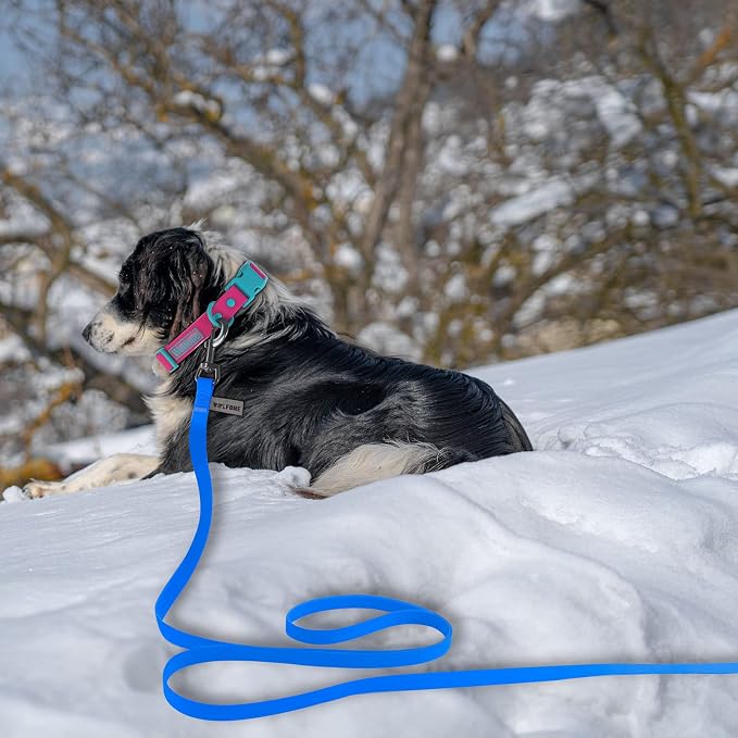 Wolfone 20ft Blue Long Leash - Waterproof Training Dog Leash for Recall, Swimming, Camping, Beach, Hunting, Walking