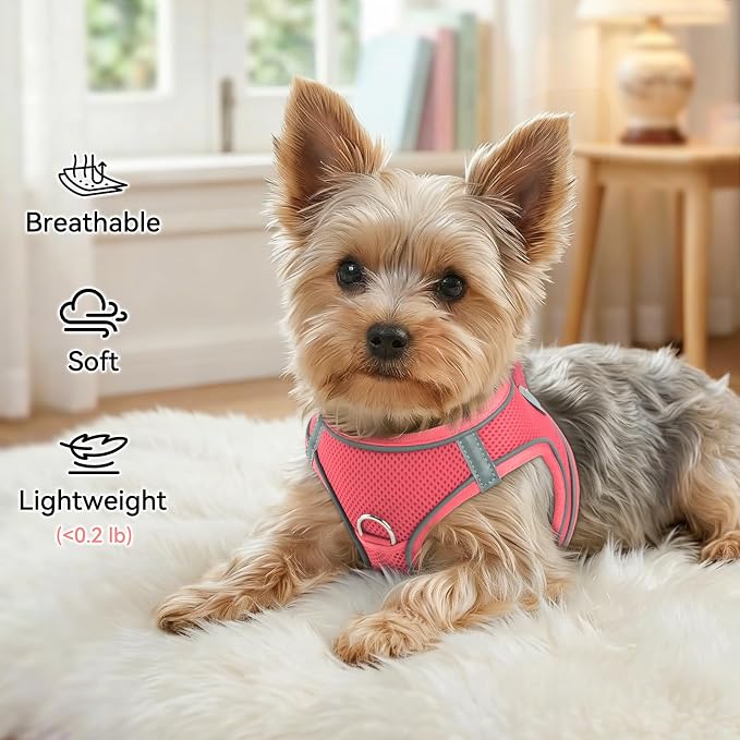 Joytale Small Dog Harness, Breathable Mesh Step-in Vest, Reflective Soft Padded Harnesses for Small and Medium Dogs, Pink, L