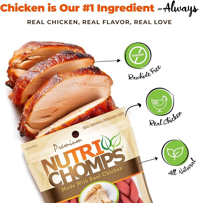 NutriChomps Dog Chews, 6-inch Braids, Easy to Digest, Rawhide-Free Dog Treats, Healthy, 4 Count, Real Chicken flavor
