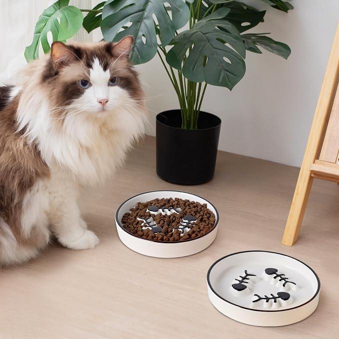 2-Pack Shallow Ceramic Cat Slow Feeder Bowls, Anti-Vomit Food Plates for Whisker Fatigue Relief, Dishwasher Safe, Anti-Acne, Black Chin Prevention, for Dry and Wet Food, Easy Daily Use