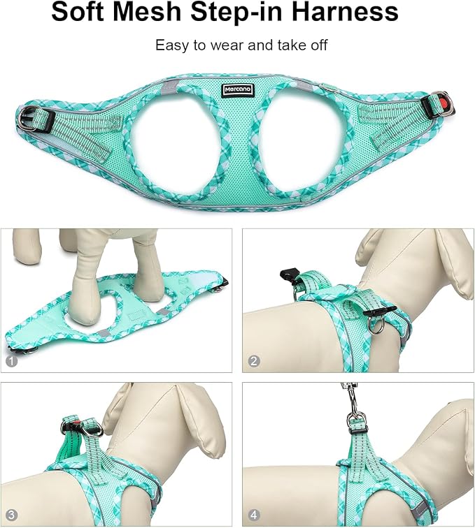 Mercano Soft Mesh Dog Harness and Leash Set, Step-in Reflective Breathable Lightweight Vest Harnesses with Safety Buckle for Small Dogs, Cats (Light Green, XL)