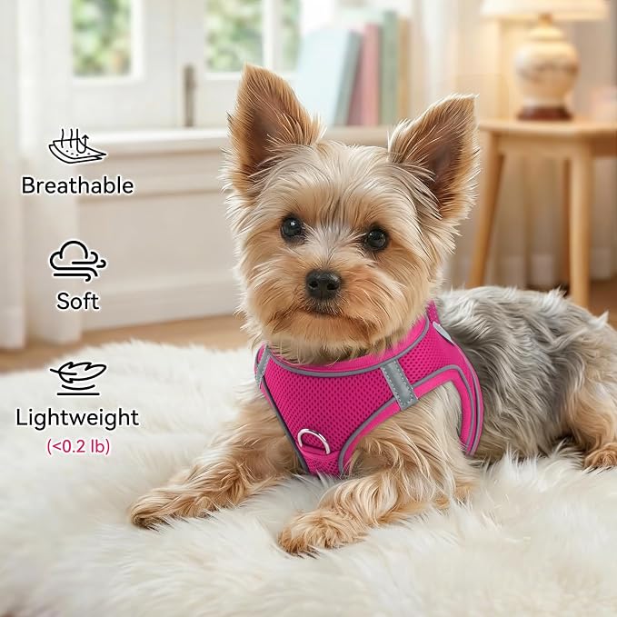 Joytale Small Dog Harness, Breathable Mesh Step-in Vest, Reflective Soft Padded Harnesses Small Sized Dog for Walking, Hot Pink, S
