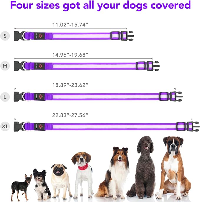 VIZPET LED Dog Collar, Light Up Dog Collar Adjustable USB Rechargeable Super Bright Safety Light Glowing Collars for Dogs (Purple, X-Large[22.83-27.55 inch/58-70cm])