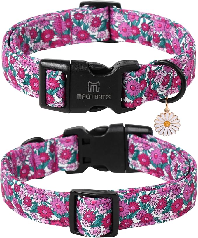 Maca Bates Spring Purple Floral Dog Collar for Dogs with Pretty Daisy Charm and Safety Bcukle Adjustable Durable Soft Basic Collars for Large Dog